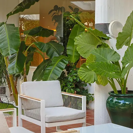 Hotel Aluasun Rojo (adults Only) 4*